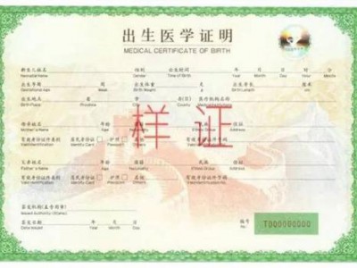 出生医学证明海牙认证